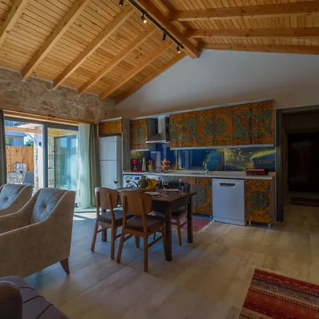 Villa Muğla Stone Daylight 2