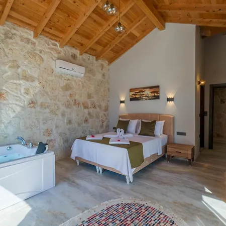Villa Muğla Stone Daylight 2
