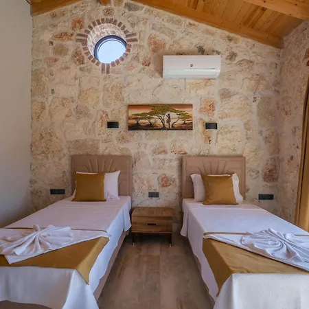 Villa Muğla Stone Daylight 2 *